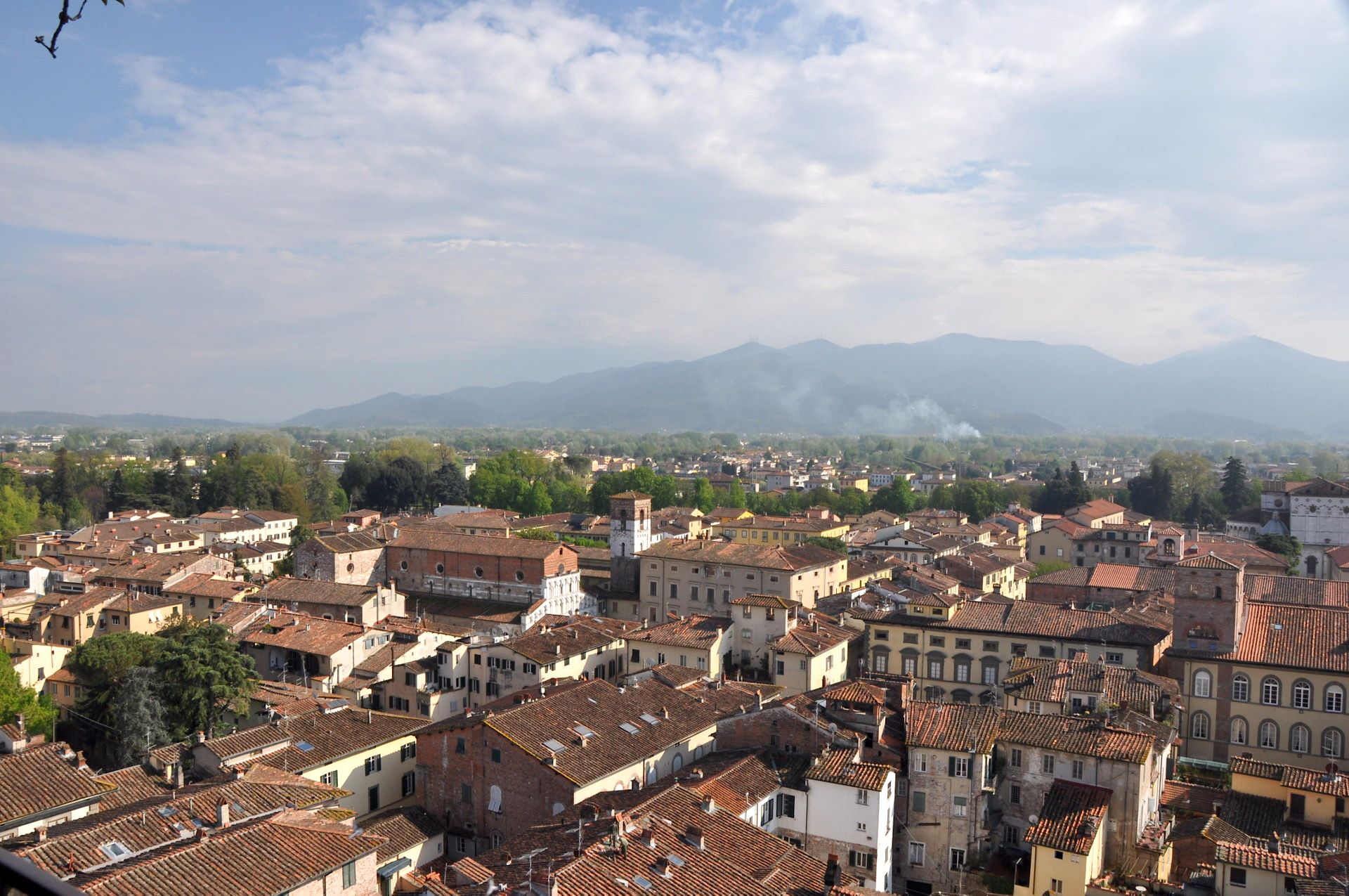 Lucca, Torre Guinigi